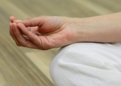Mudra översätts till 'försegling', 'symbol' eller 'gest', handformationer inom yoga